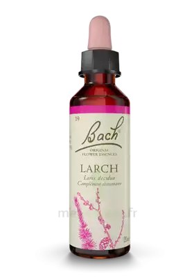 Fleurs De Bach® Original Larch - 20 Ml à Trelissac